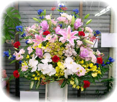 開店花