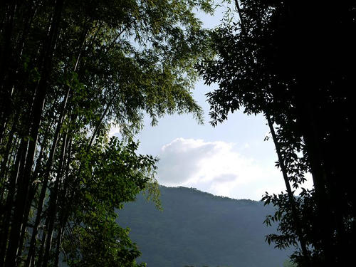 P1000363.JPG