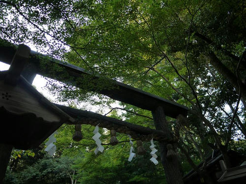 P1000371.JPG