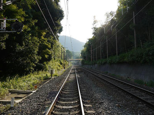 P1000378.JPG