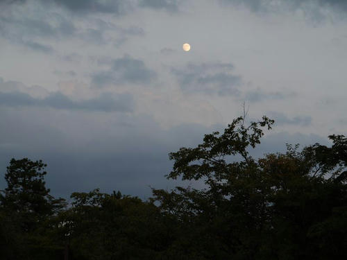 P1000416.JPG