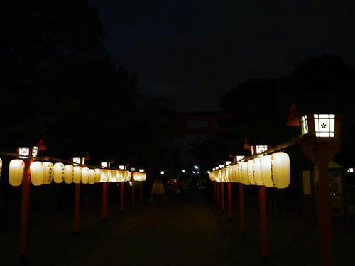 P1000479.JPG