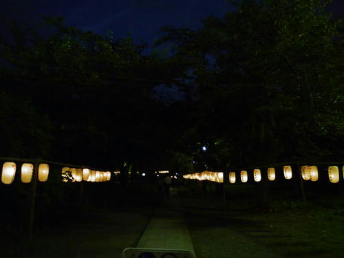 P1000476.JPG