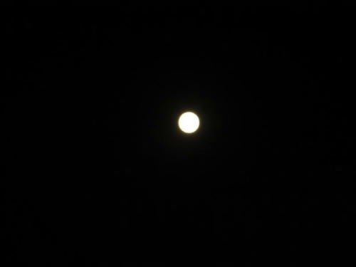 P1000524.JPG