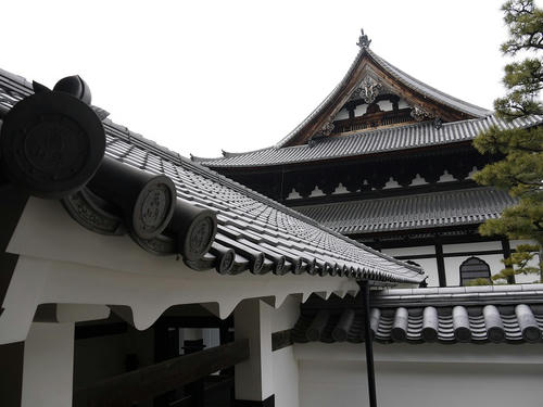 P1000710.jpg