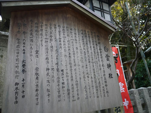 P1000733.jpg