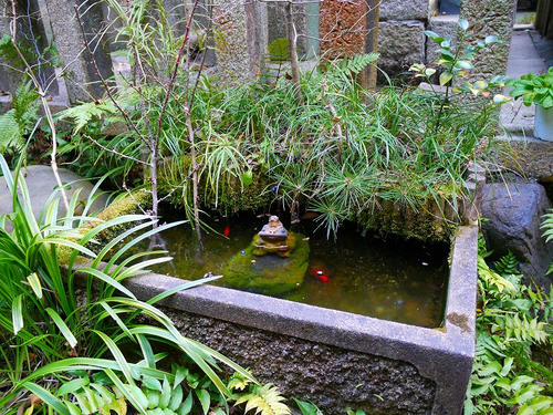 P1000746.jpg