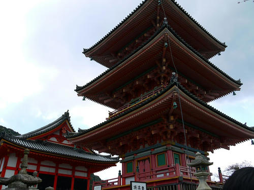 P1000787.jpg