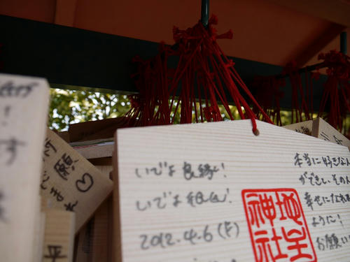 P1000797.jpg