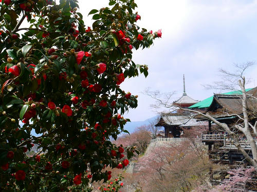 P1000802.jpg