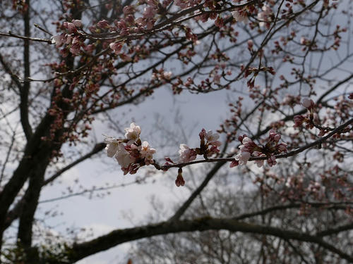 P1000816.jpg