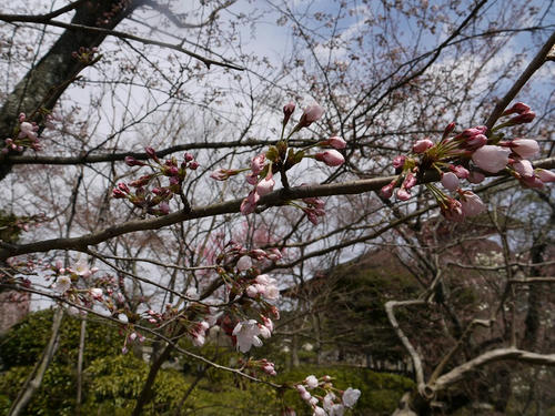 P1000819.jpg
