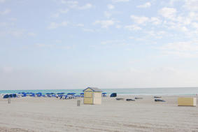 IMG_8205.jpg