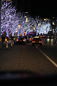 IMG_8459.jpg