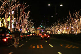 IMG_8465.jpg