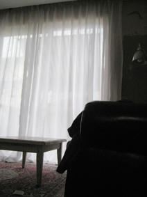 IMG_8636.jpg