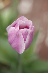 _MG_6874.jpg