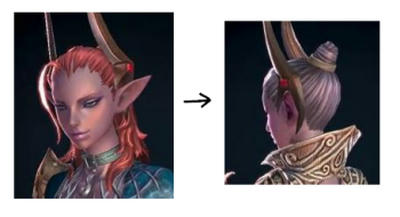 casHair3.jpg