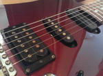 NEC_0074.JPG