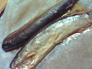 reko_yoru_090910.jpg
