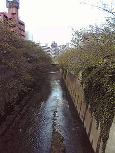 2009toden_02.jpg