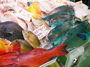 okinawa01_72.JPG