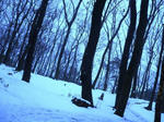 P1040705-2.JPG