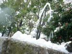 P1040773-1.JPG