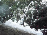 P1040774-1.JPG