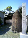 1403d18c.jpg