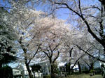 090407_143623.JPG