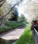 TKY201004120393.jpg