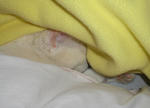 20100401.jpg