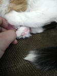 2011021717050000.jpg