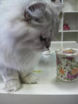 2011021716390000.jpg