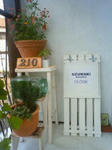 NEC_0117.JPG