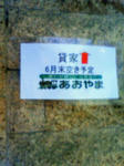 NEC_0135.JPG