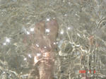 DSC02904.JPG