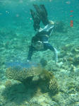 DSC02870.JPG