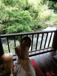 DSC00705.JPG
