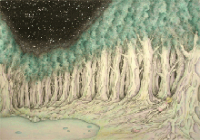 Forest under starry sky