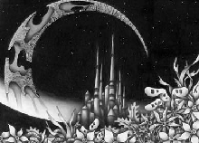 City where crescent is seen