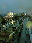 NEC_0527.jpg