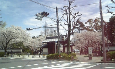 100410_101248.jpg