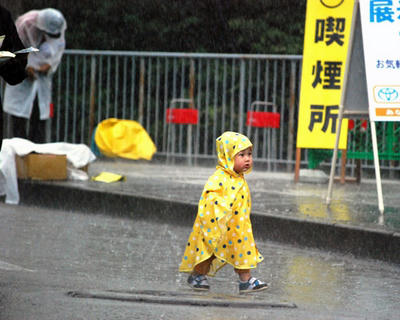 00064545-B.jpg
