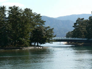20100124_3.jpg