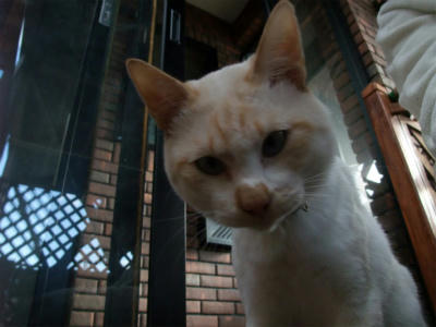 2010_10180006.jpg