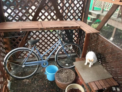 2010_10180004.jpg