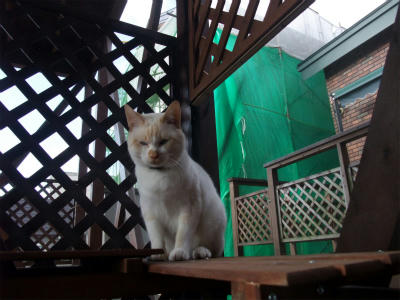 2010_10180009.jpg