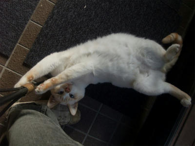 2010_11010019.jpg